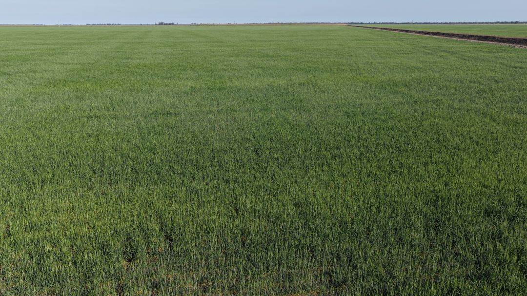 Auburn, Spring Plains For Sale by Farmbuy.com - image 26