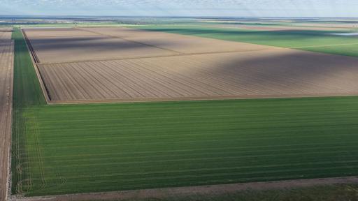 Auburn, Spring Plains NSW 2388