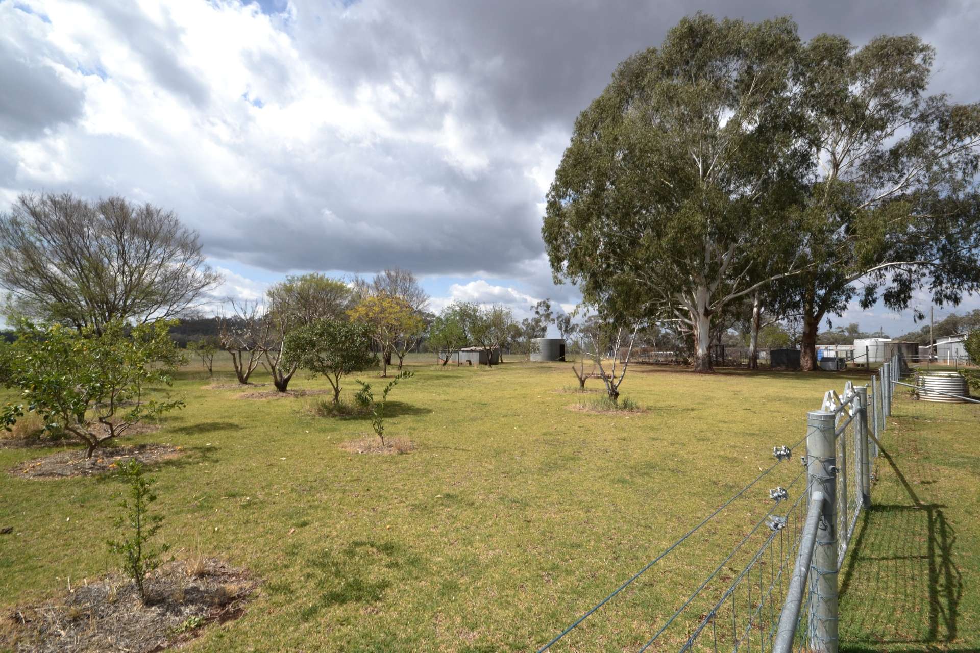 40 Hills Lane, Inverell For Sale by Farmbuy.com - image 20