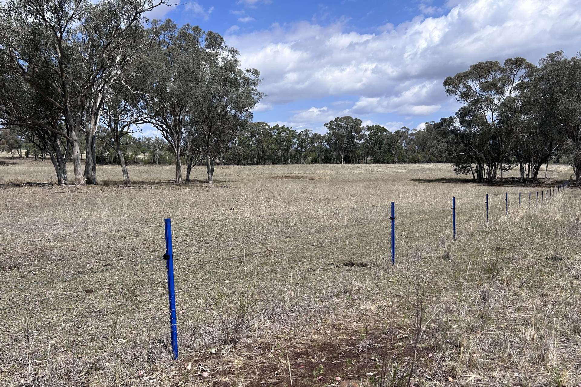 40 Hills Lane, Inverell For Sale by Farmbuy.com - image 28