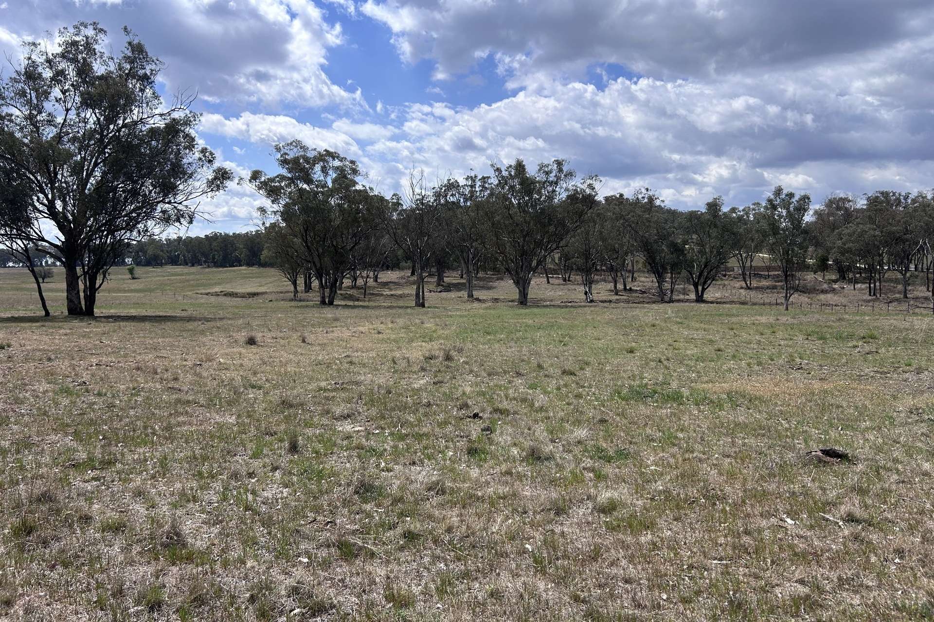 40 Hills Lane, Inverell For Sale by Farmbuy.com - image 32