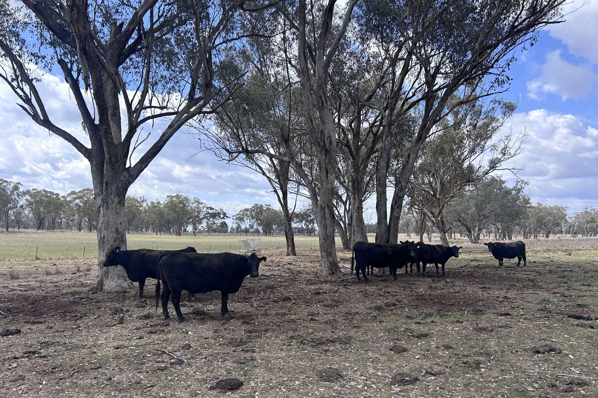 40 Hills Lane, Inverell For Sale by Farmbuy.com - image 30