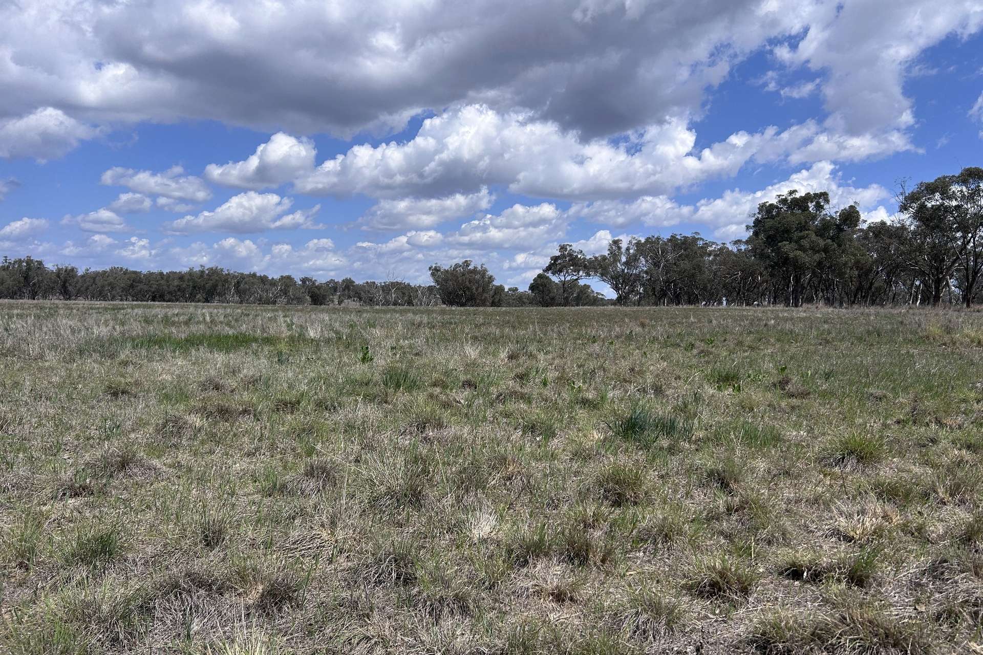 40 Hills Lane, Inverell For Sale by Farmbuy.com - image 26