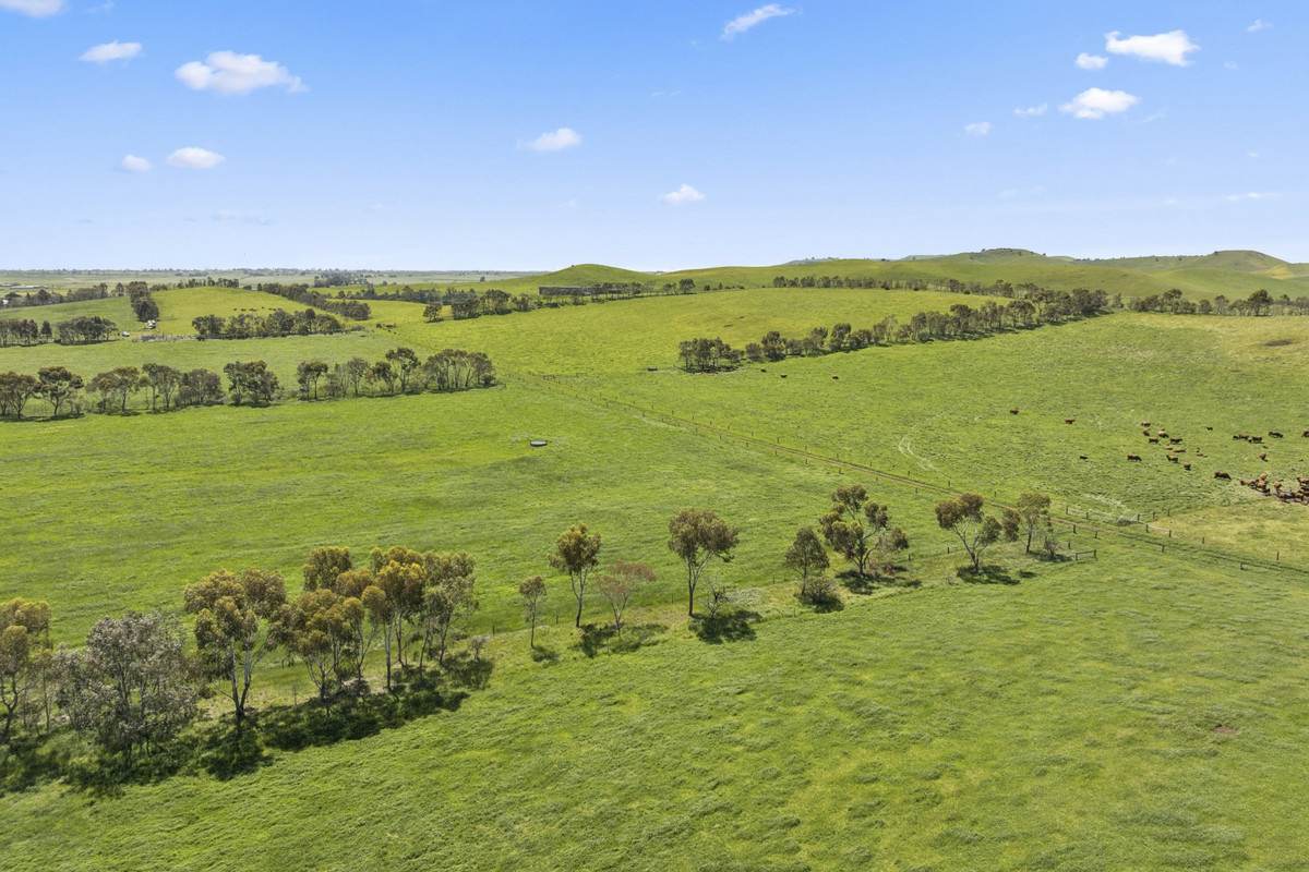 90 Baynes Road, Corunnun For Sale by Farmbuy.com - image 21