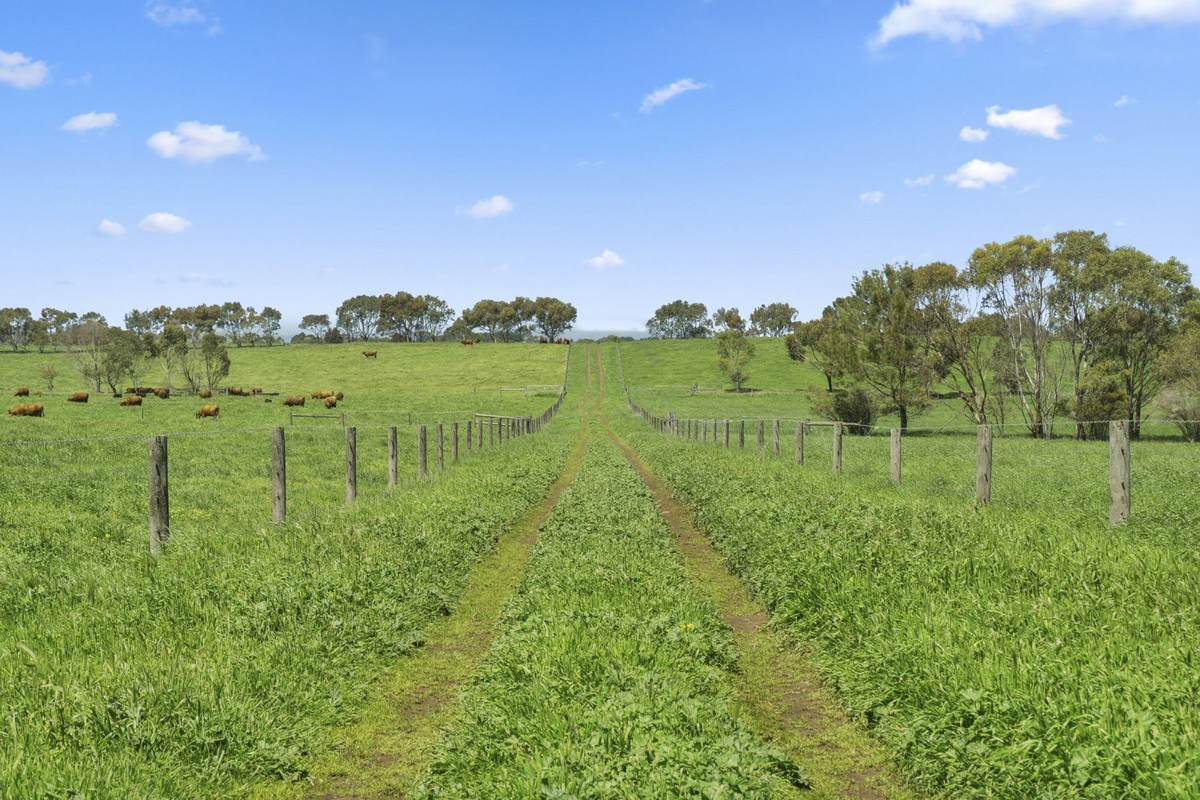90 Baynes Road, Corunnun For Sale by Farmbuy.com - image 25