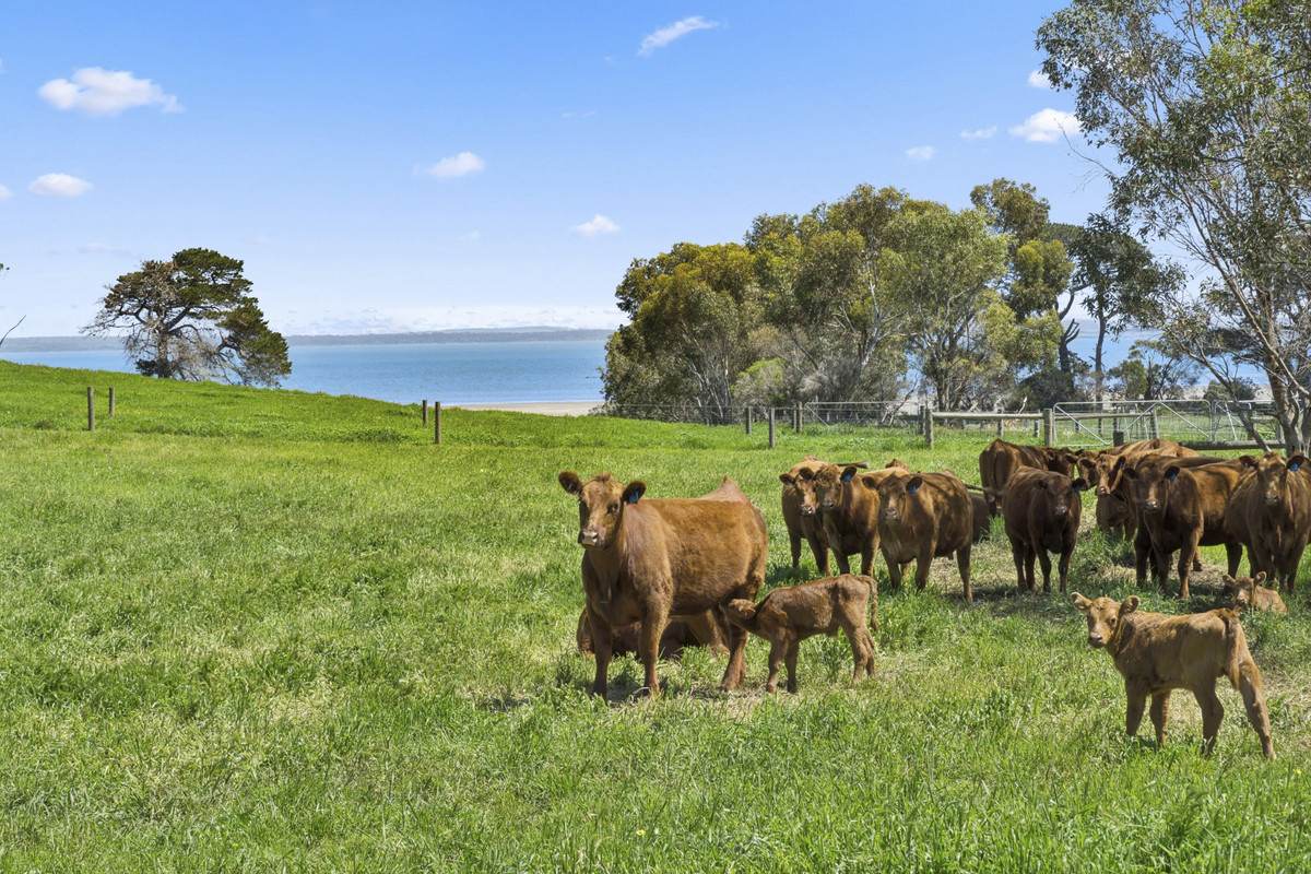 90 Baynes Road, Corunnun For Sale by Farmbuy.com - image 20