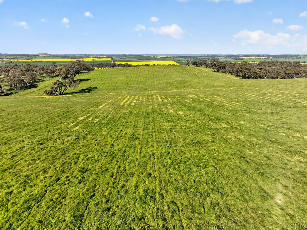 'Woolshed' Kelly Road, Undalya SA 5451
