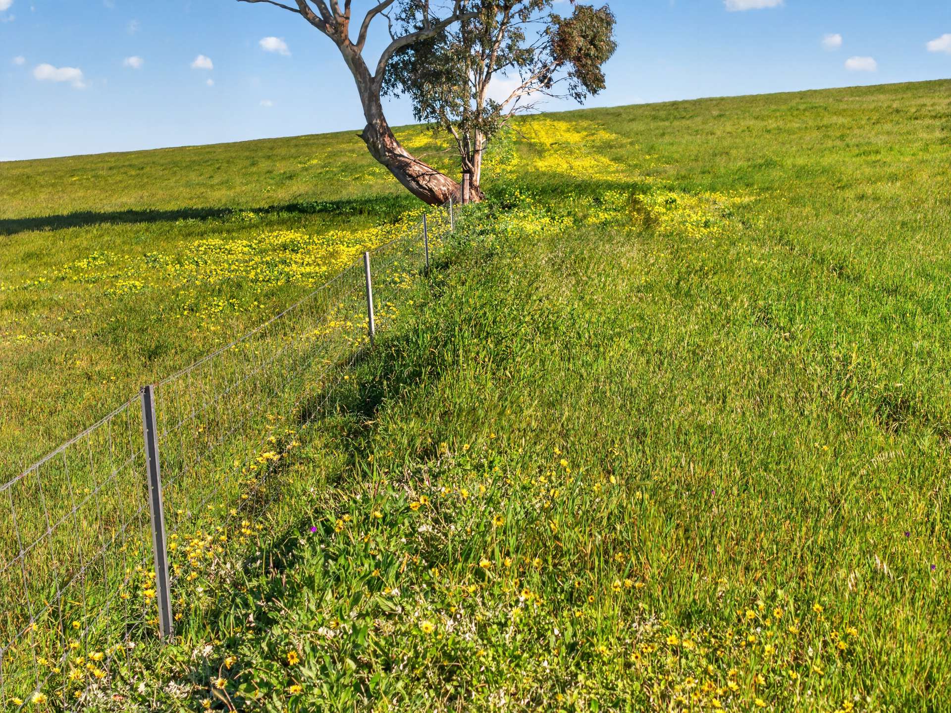 'Woolshed' Kelly Road, Undalya Auction by Farmbuy.com - image 7