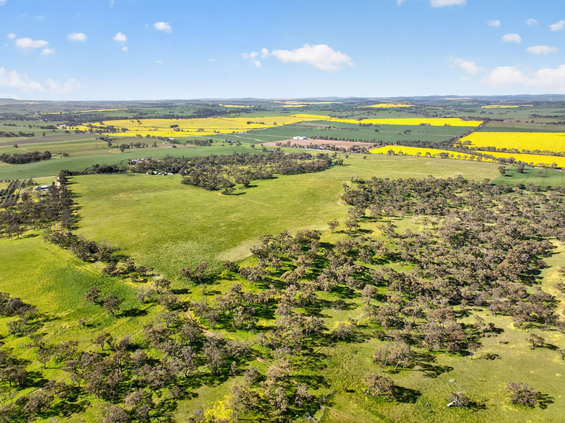 'Woolshed' Kelly Road, Undalya Auction by Farmbuy.com - image 5