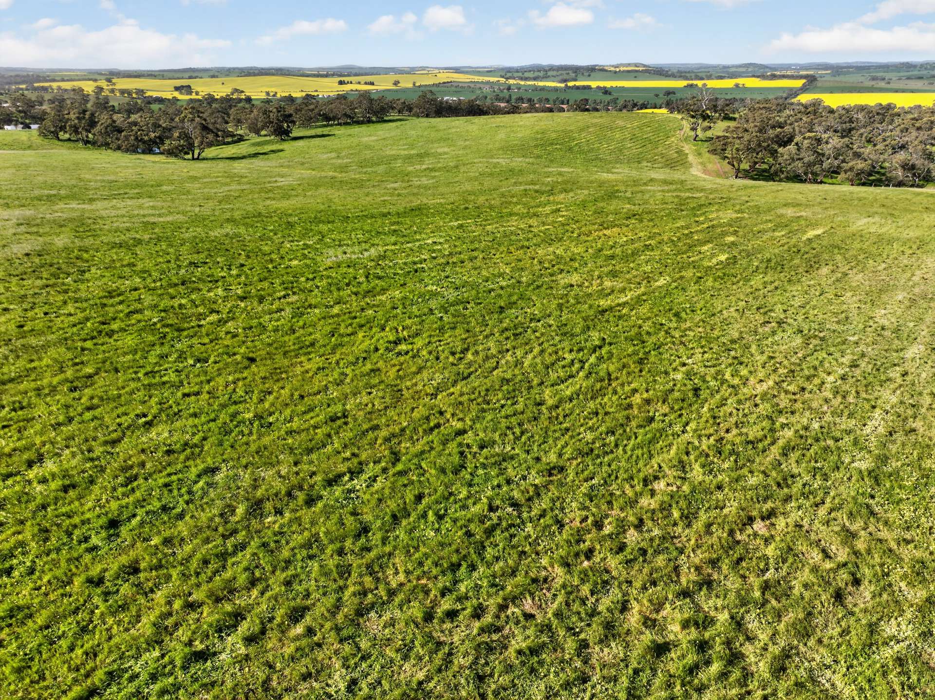 'Woolshed' Kelly Road, Undalya Auction by Farmbuy.com - image 4