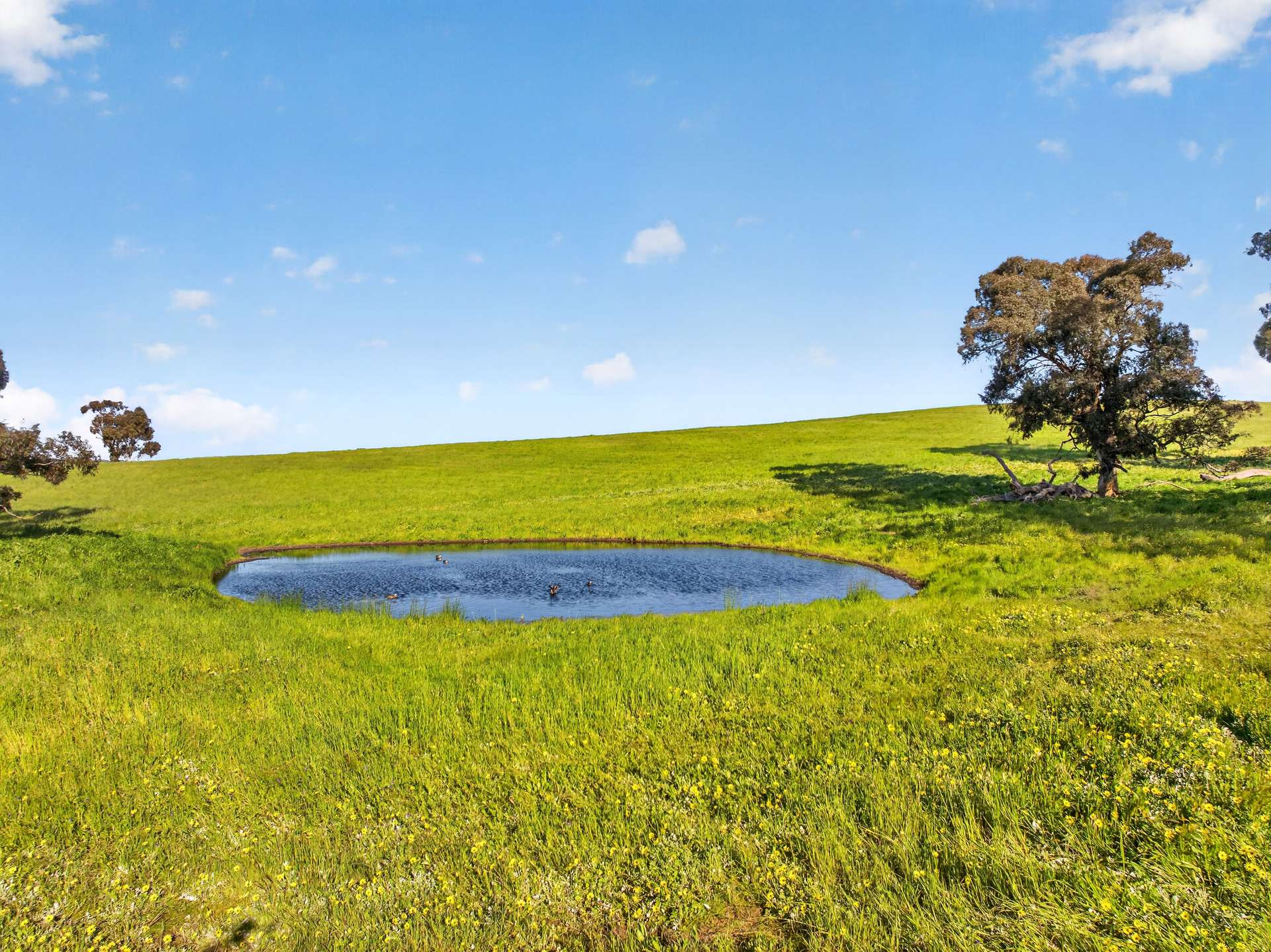 'Woolshed' Kelly Road, Undalya Auction by Farmbuy.com - image 8