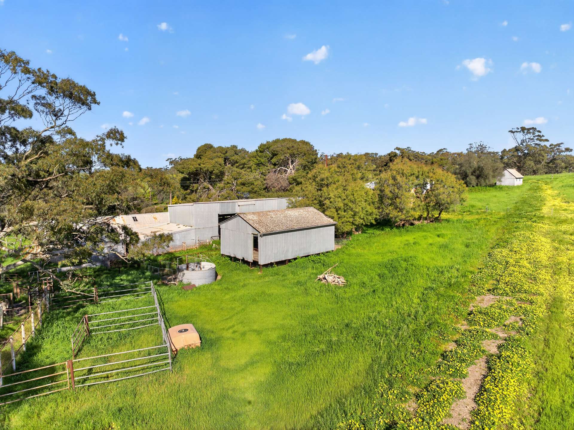 'Woolshed' Kelly Road, Undalya Auction by Farmbuy.com - image 9