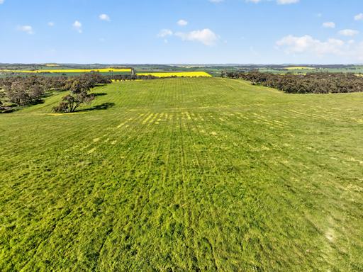 Farm Auction - SA - Undalya - 5451 - Versatile Rural Holding with Elevated Views 