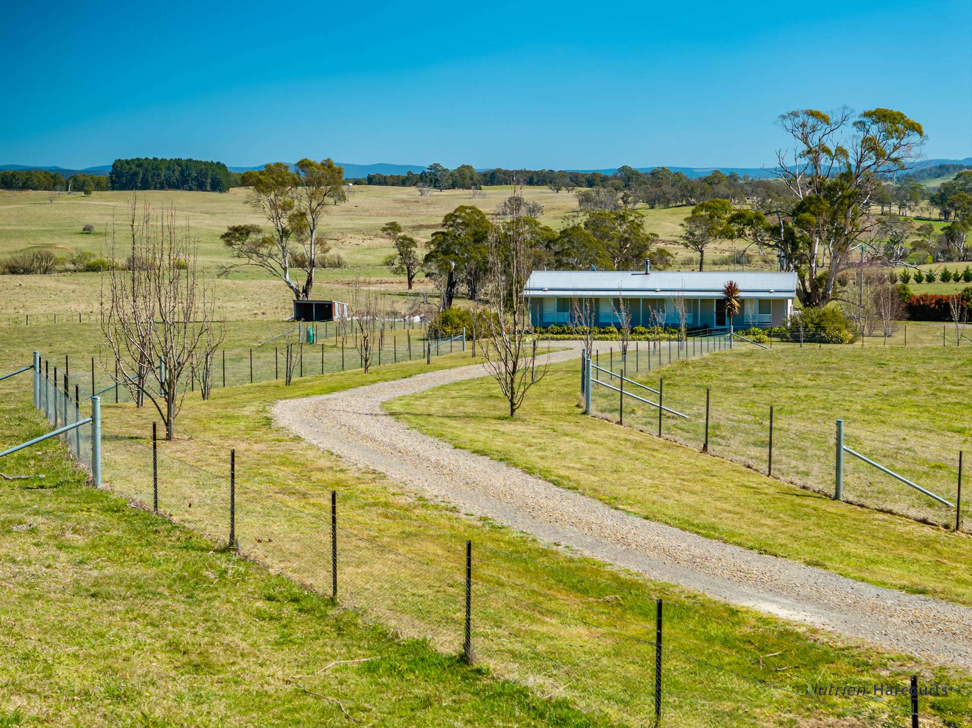 24 Sawyers Ridge  Road, Reidsdale For Sale by Farmbuy.com - image 2