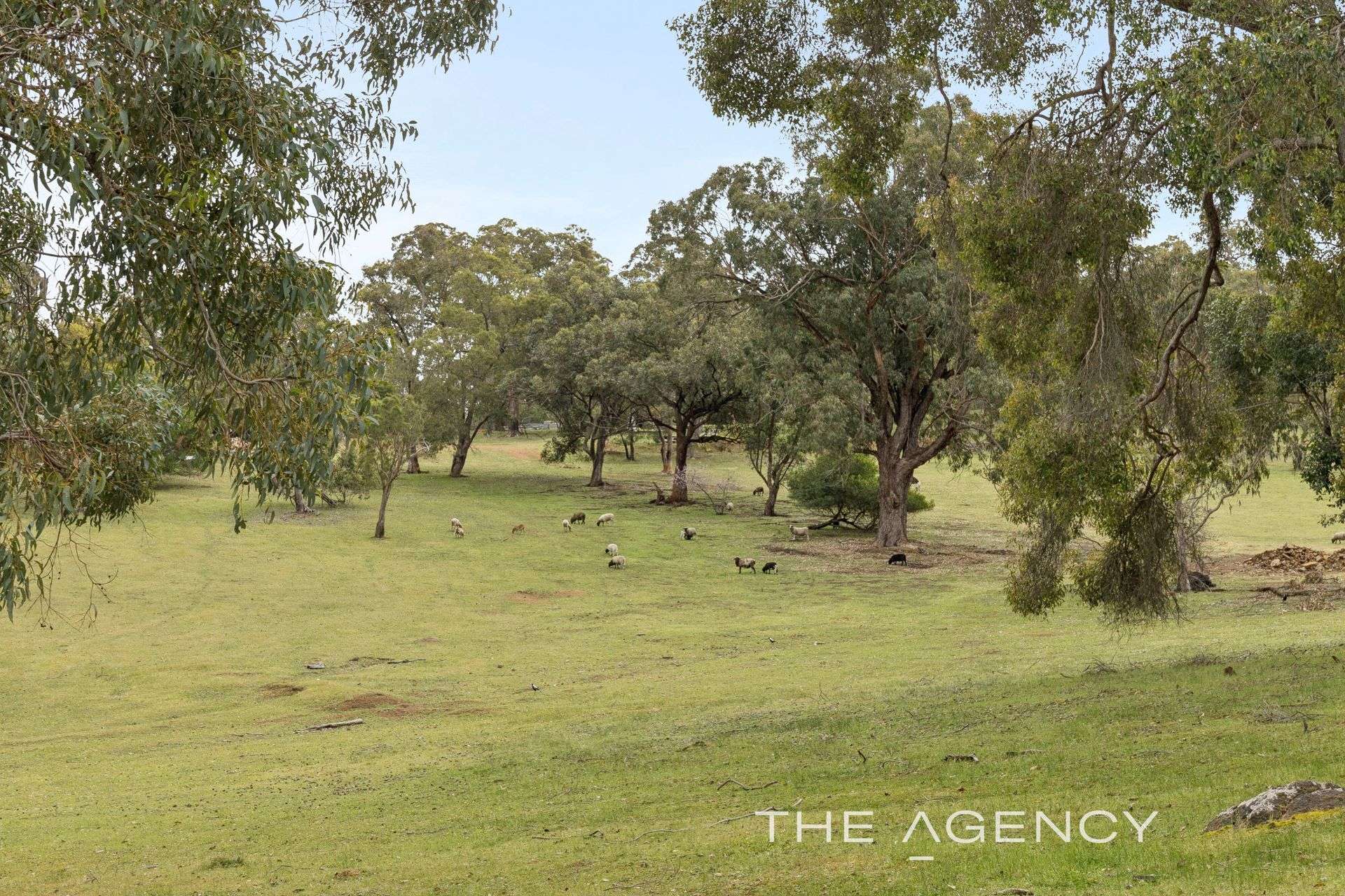 8 Newman Road, Glen Forrest For Sale by Farmbuy.com - image 28