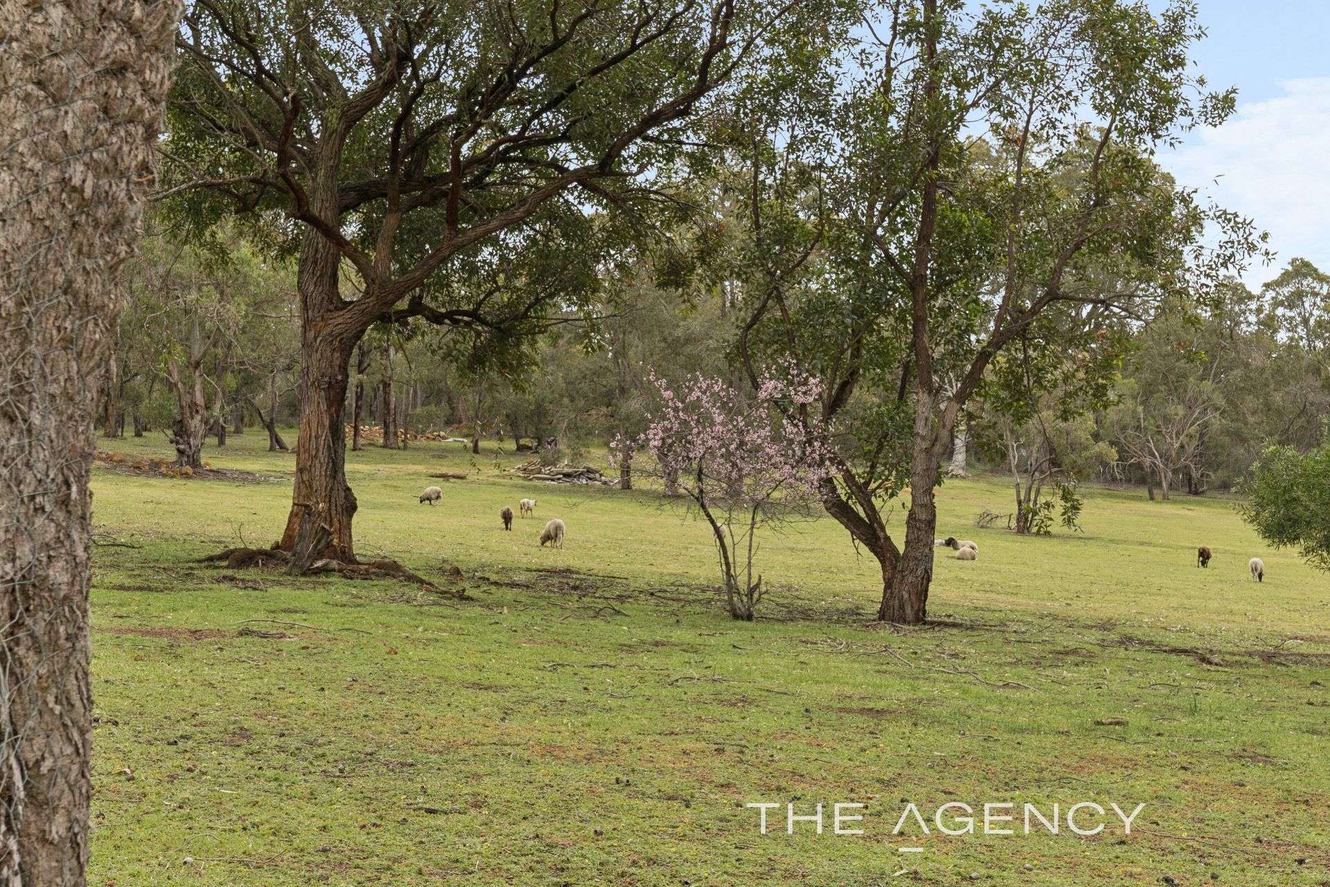 8 Newman Road, Glen Forrest For Sale by Farmbuy.com - image 27