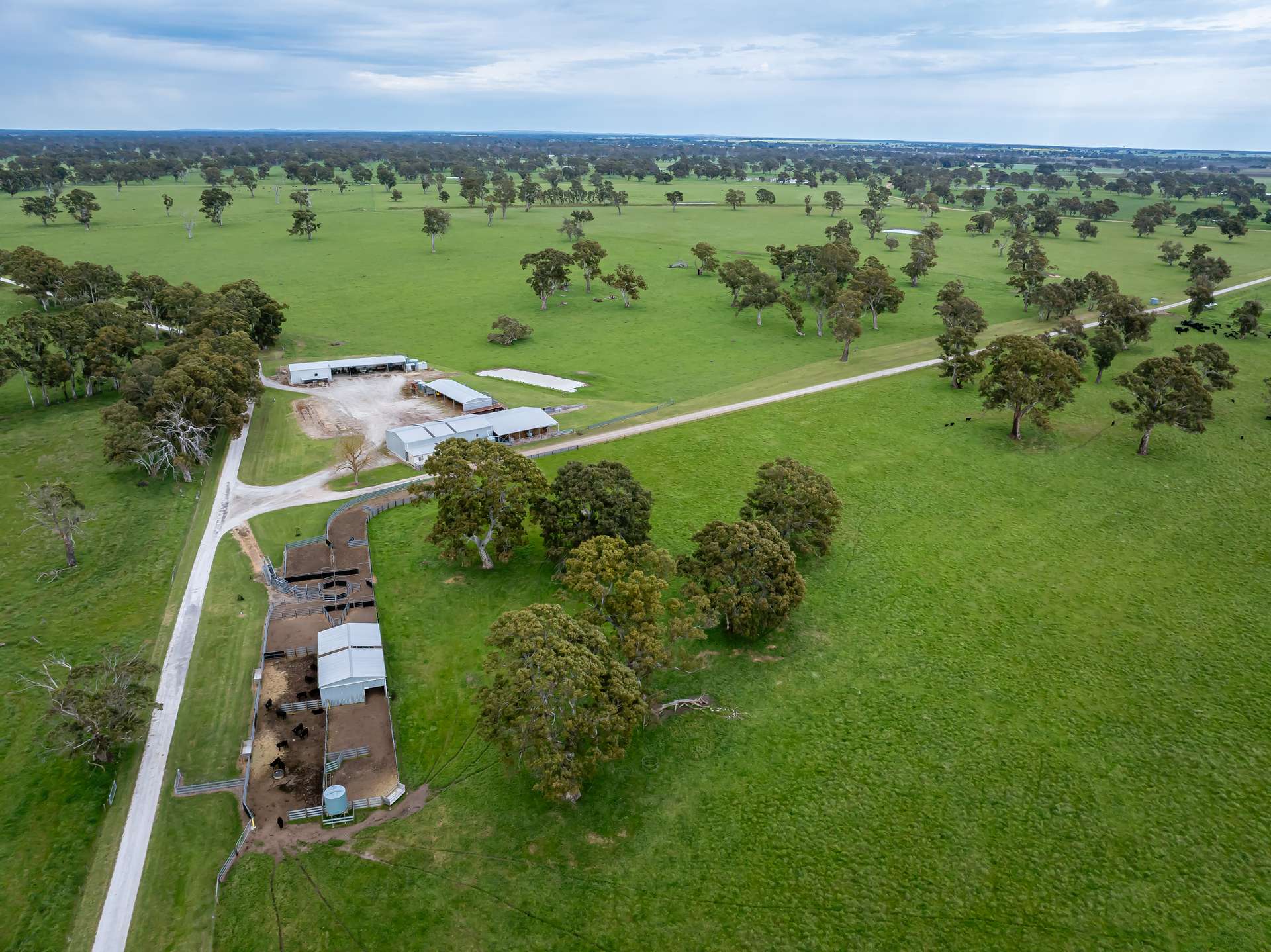 122 Blight Road, Penola For Sale by Farmbuy.com - image 26