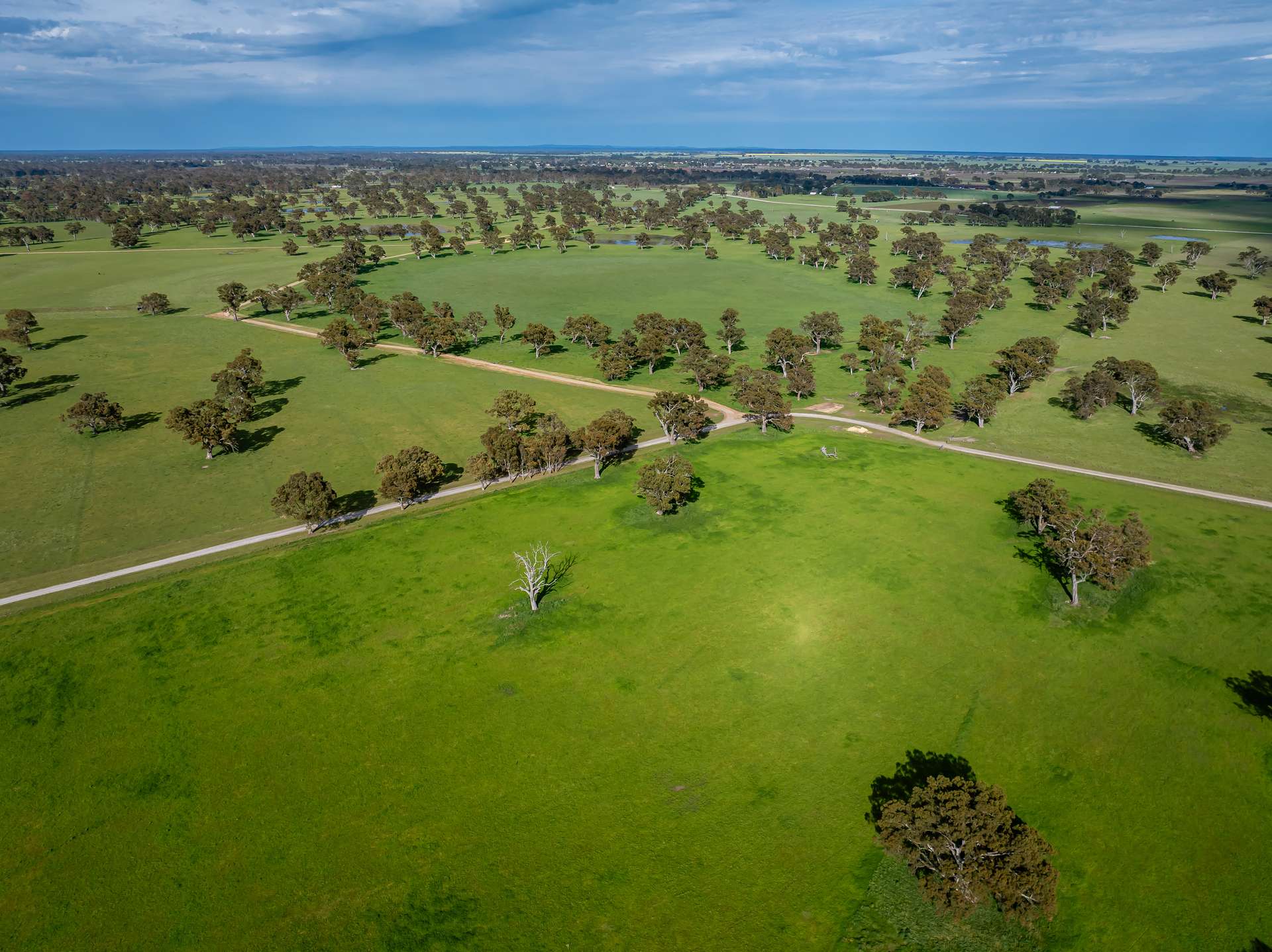 122 Blight Road, Penola For Sale by Farmbuy.com - image 24