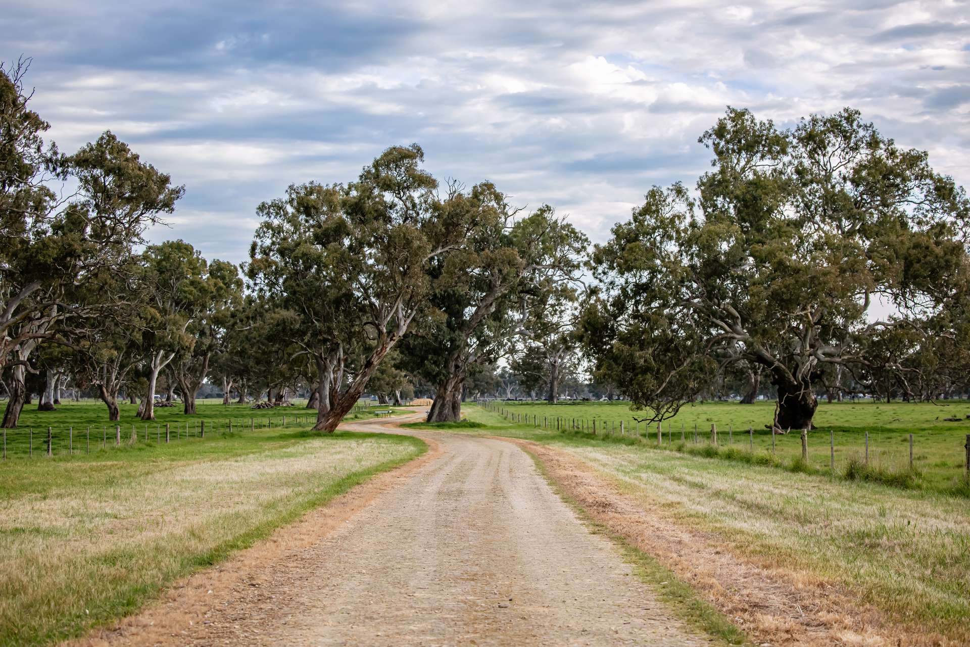 122 Blight Road, Penola For Sale by Farmbuy.com - image 5