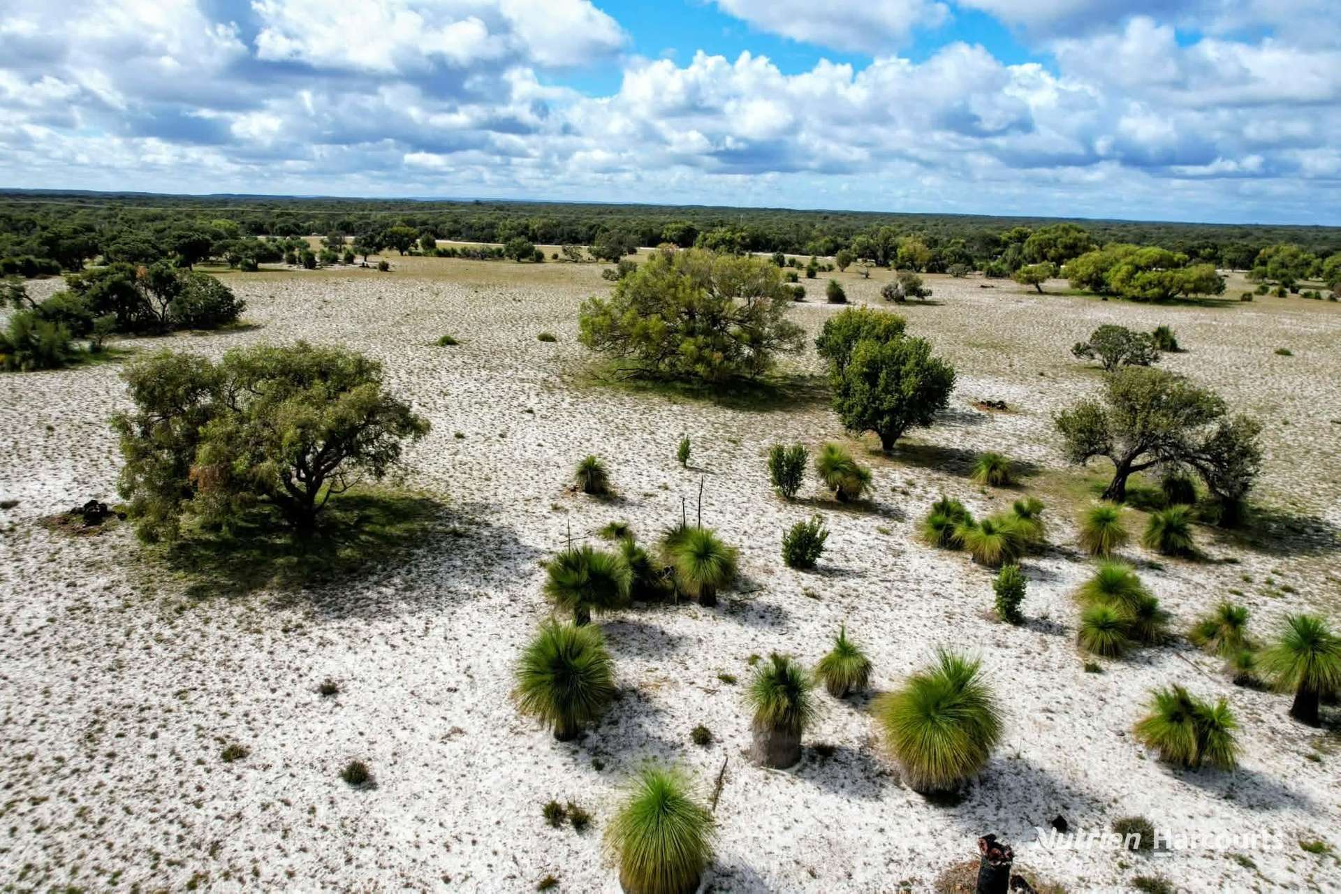 1440 Orange Springs Road, Cowalla For Sale by Farmbuy.com - image 6