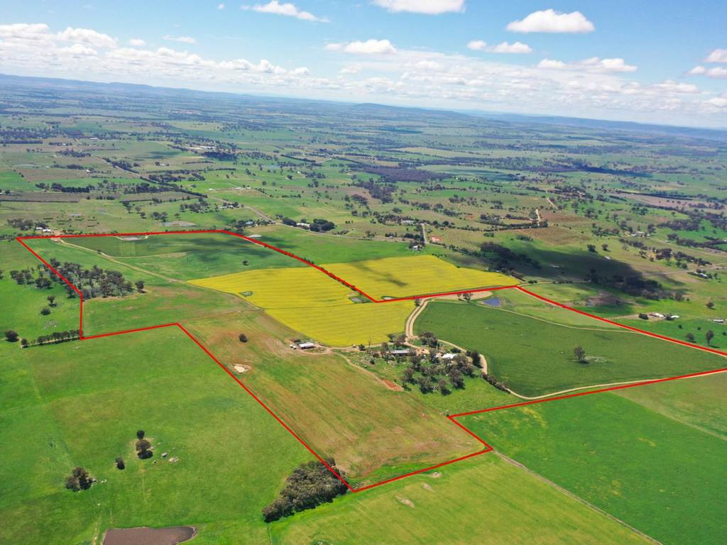 433 Maimuru SS Road Via, Young NSW 2594