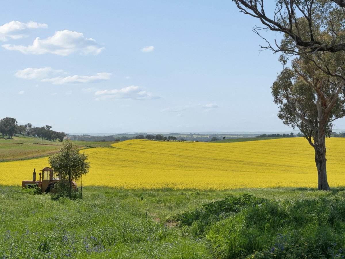 433 Maimuru SS Road Via, Young For Sale by Farmbuy.com - image 21