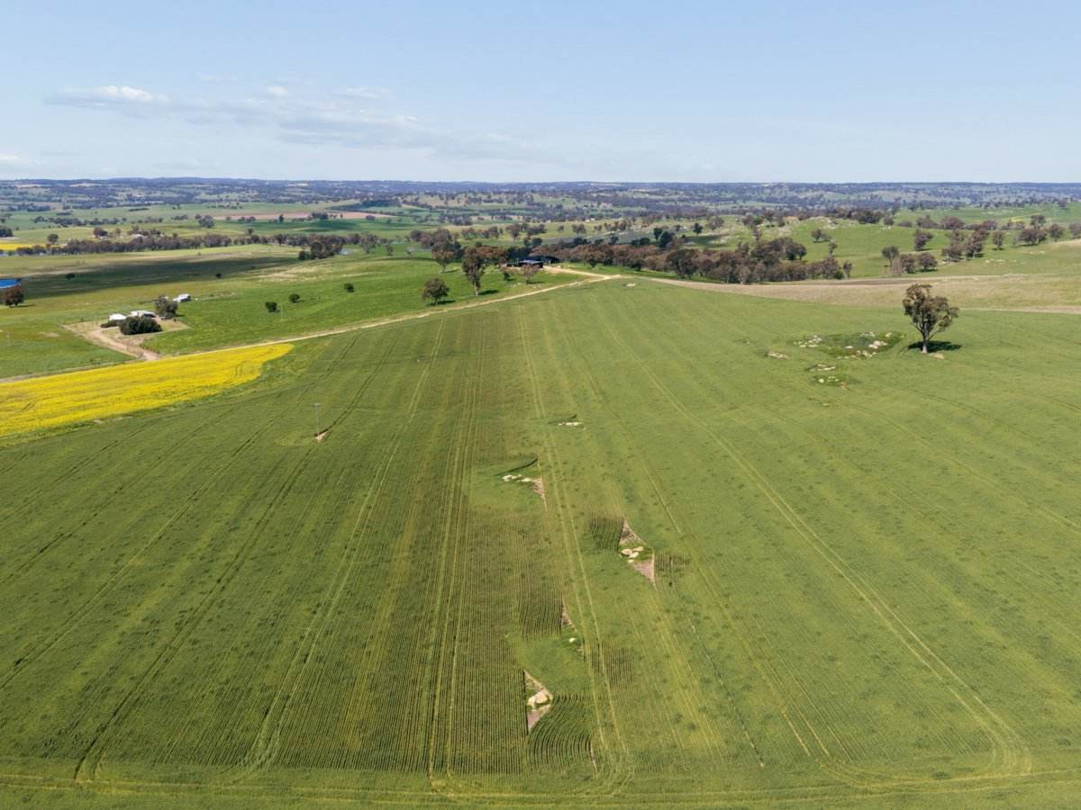 433 Maimuru SS Road Via, Young For Sale by Farmbuy.com - image 22