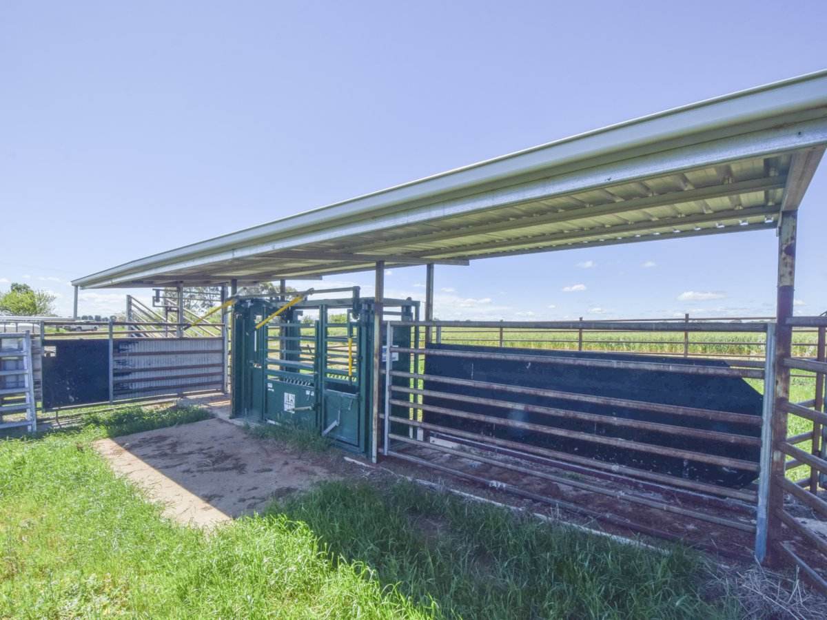 433 Maimuru SS Road Via, Young For Sale by Farmbuy.com - image 16