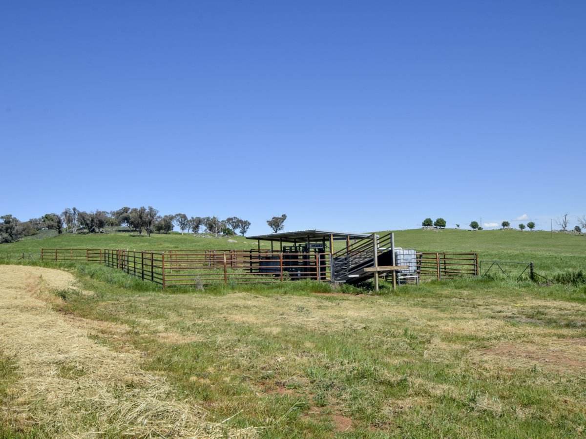 433 Maimuru SS Road Via, Young For Sale by Farmbuy.com - image 17