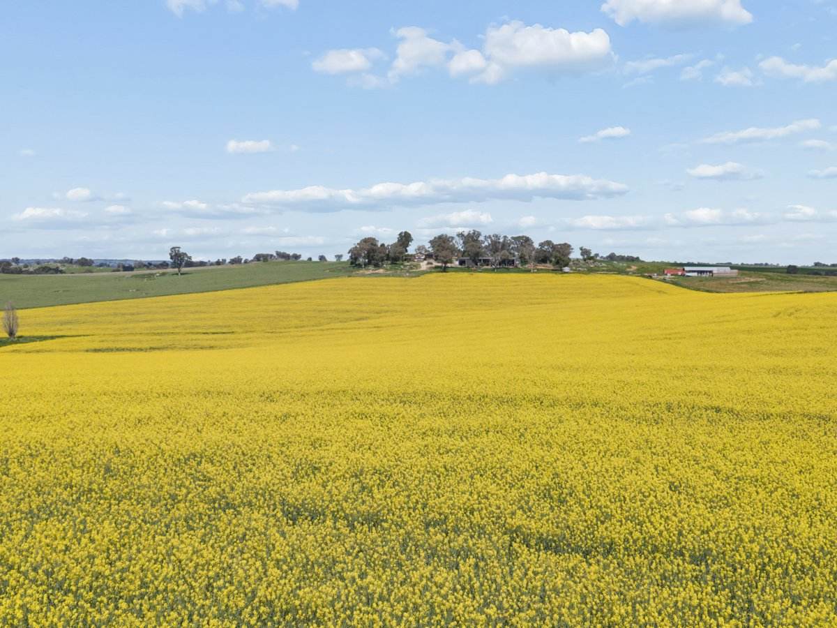 433 Maimuru SS Road Via, Young For Sale by Farmbuy.com - image 18
