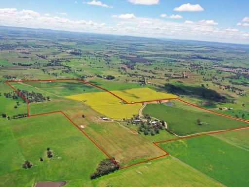 433 Maimuru SS Road Via, Young NSW 2594