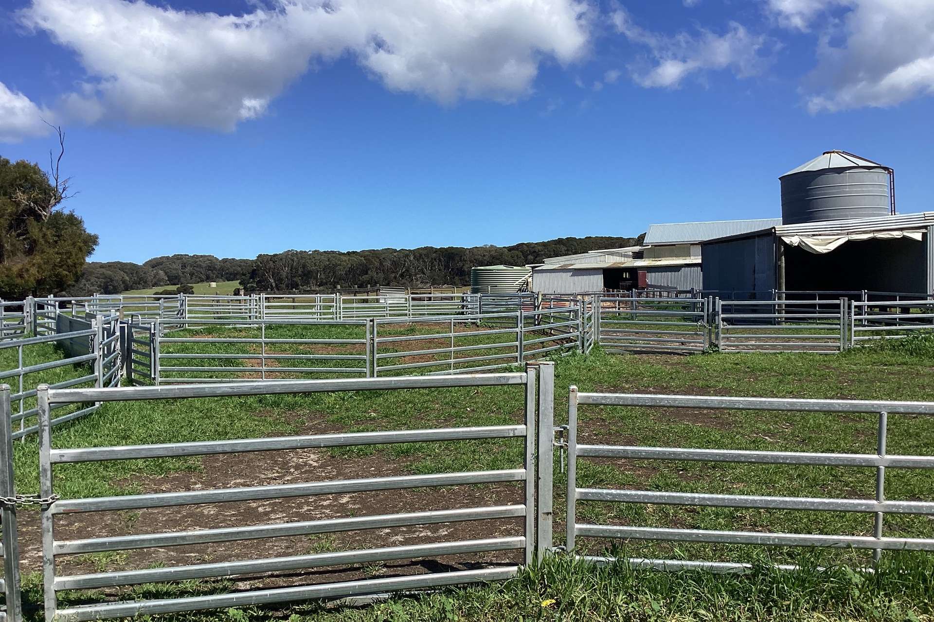 1730 Willson River Road, Porky Flat For Sale by Farmbuy.com - image 6