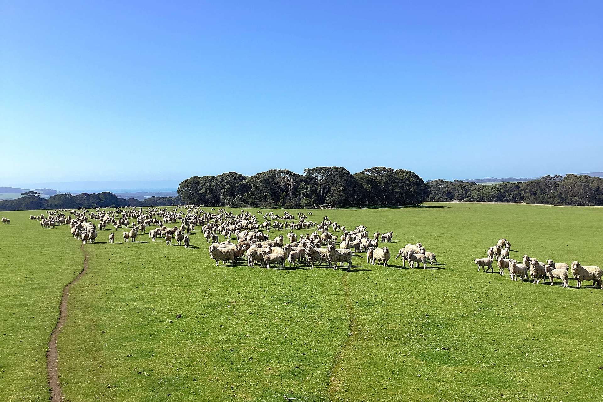 1730 Willson River Road, Porky Flat For Sale by Farmbuy.com - image 1