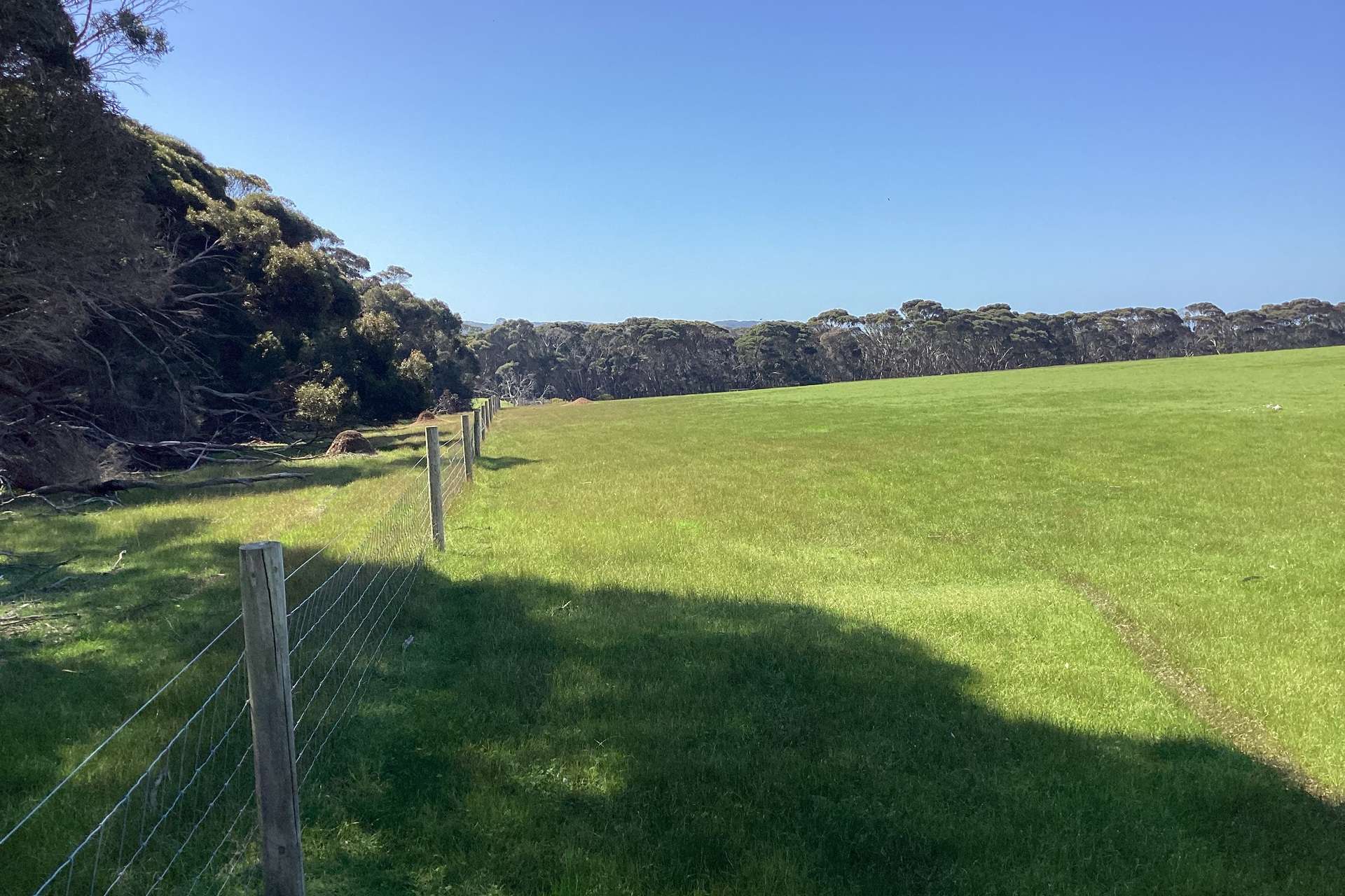 1730 Willson River Road, Porky Flat For Sale by Farmbuy.com - image 18