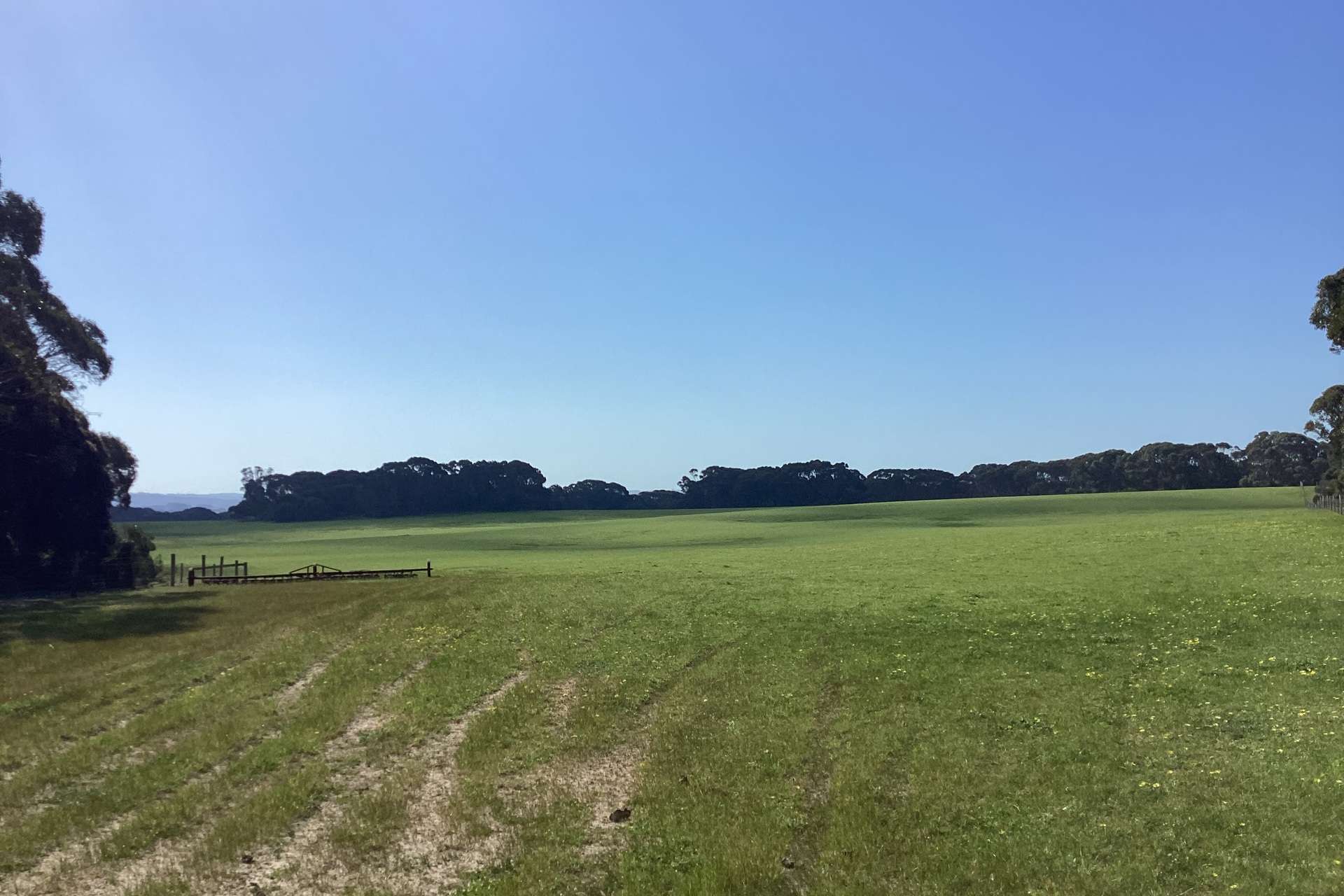 1730 Willson River Road, Porky Flat For Sale by Farmbuy.com - image 25