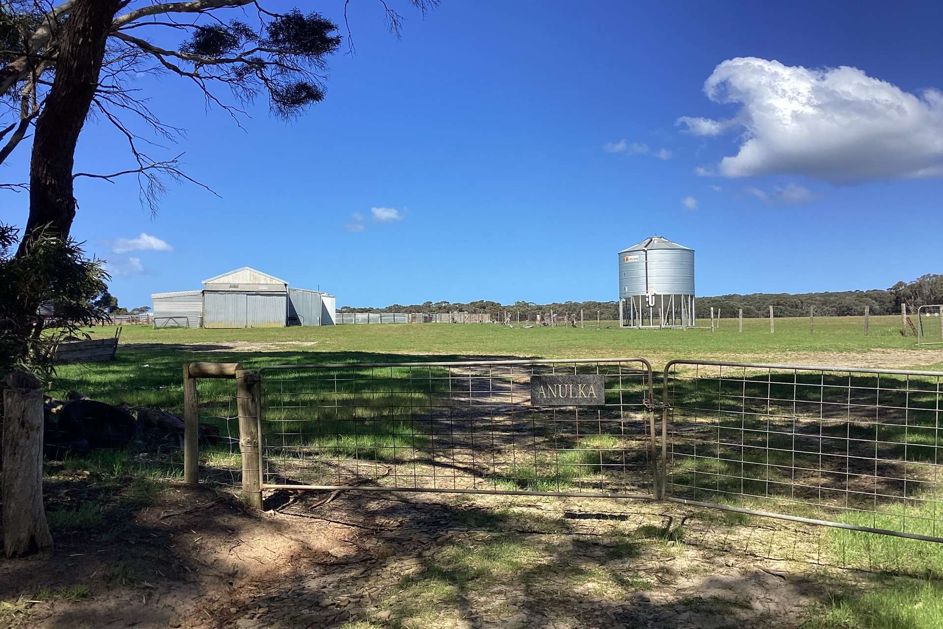 1730 Willson River Road, Porky Flat For Sale by Farmbuy.com - image 3