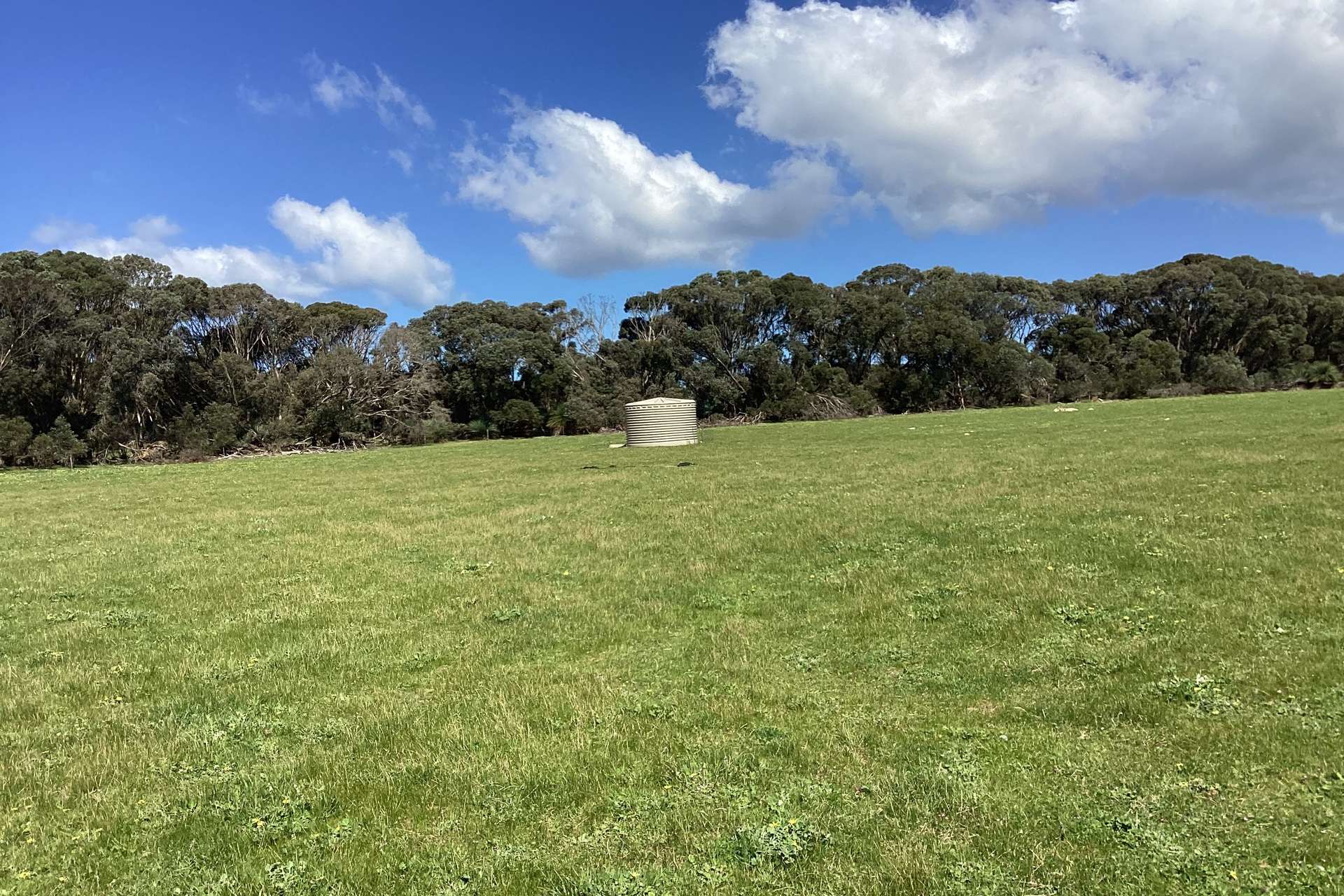 1730 Willson River Road, Porky Flat For Sale by Farmbuy.com - image 15
