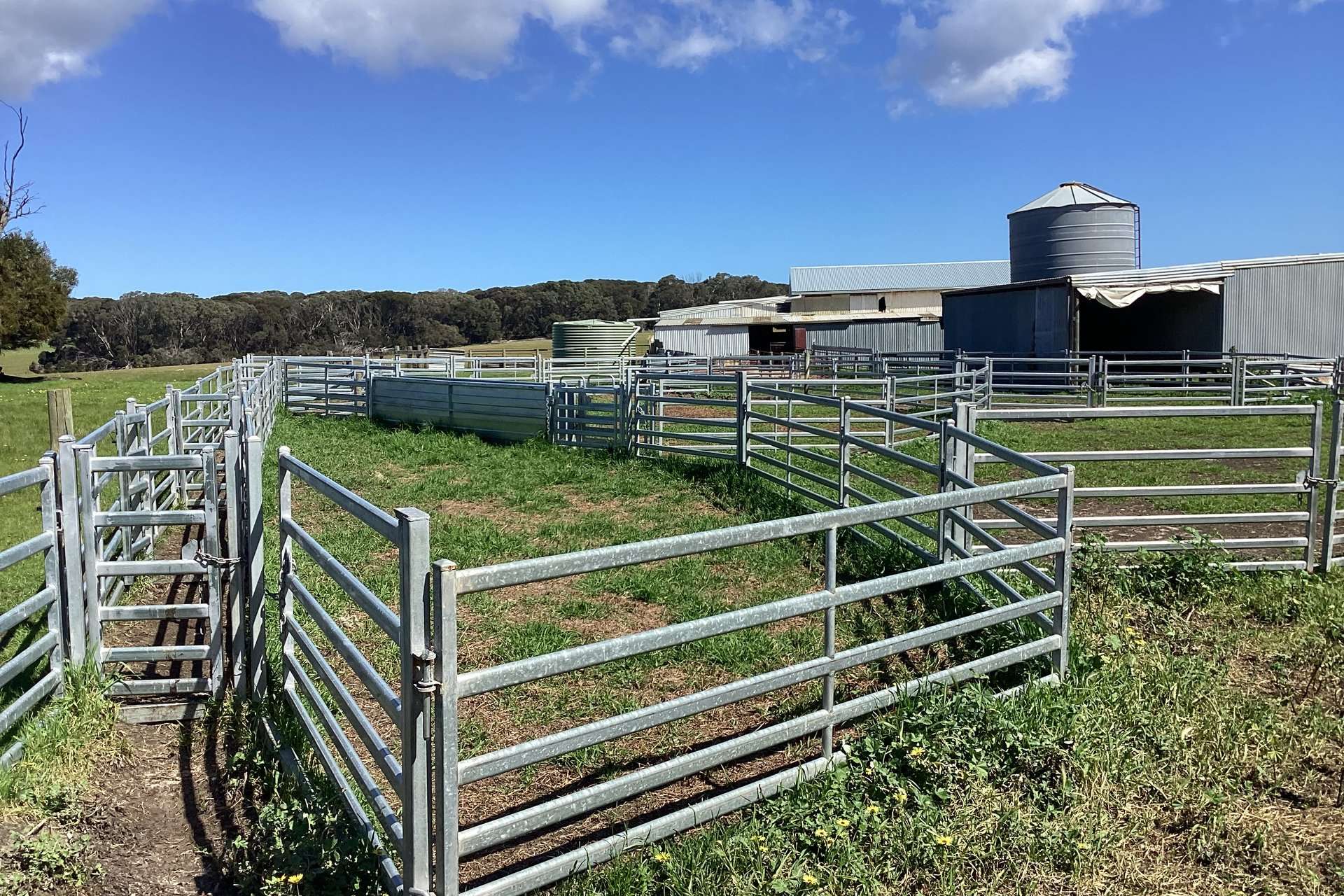 1730 Willson River Road, Porky Flat For Sale by Farmbuy.com - image 5