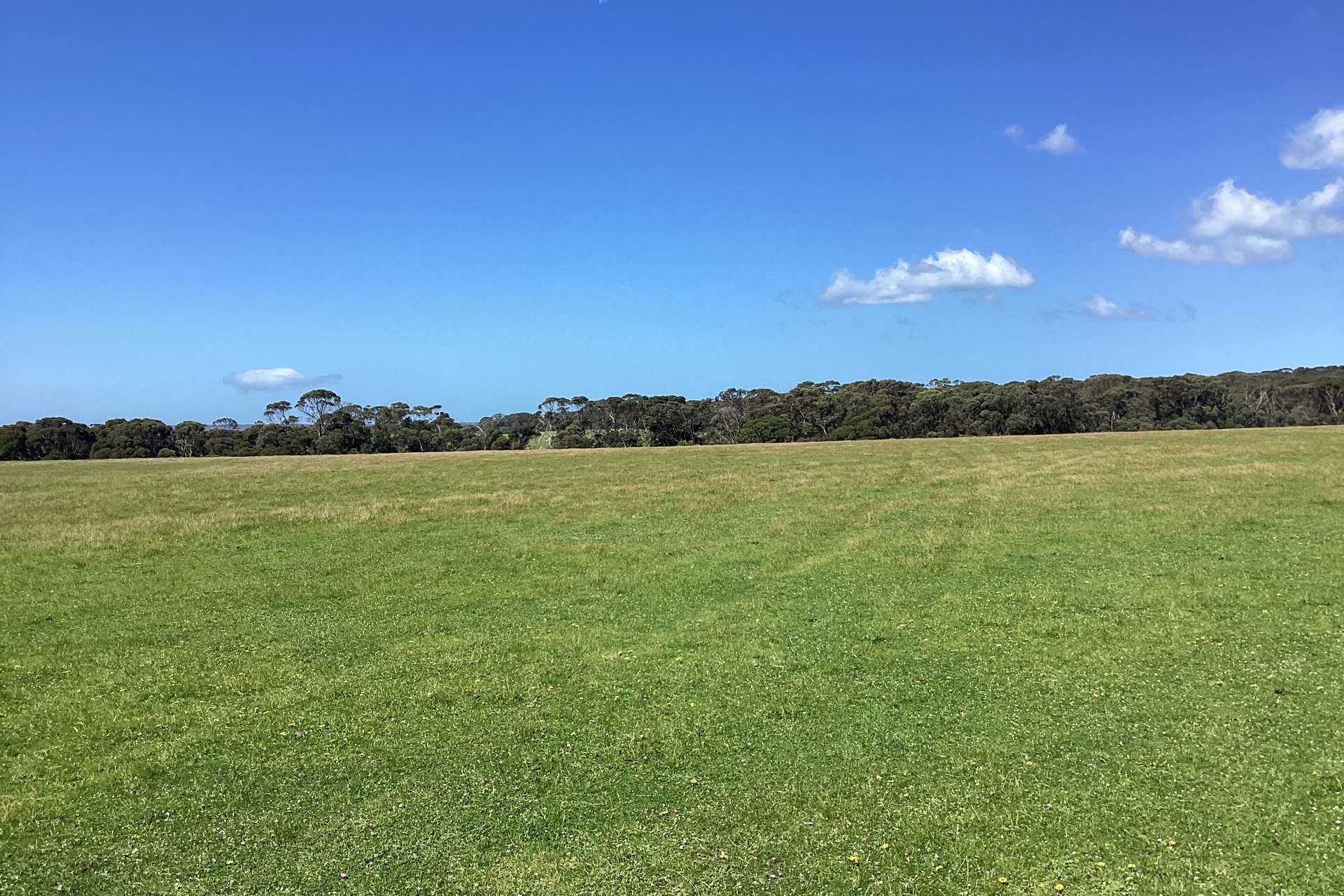 1730 Willson River Road, Porky Flat For Sale by Farmbuy.com - image 16