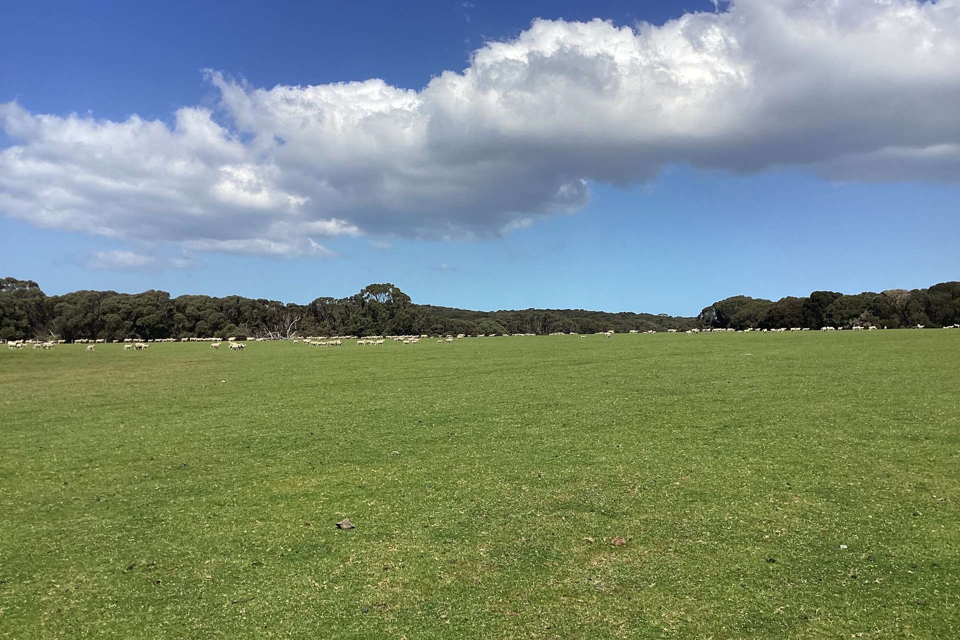 1730 Willson River Road, Porky Flat For Sale by Farmbuy.com - image 21