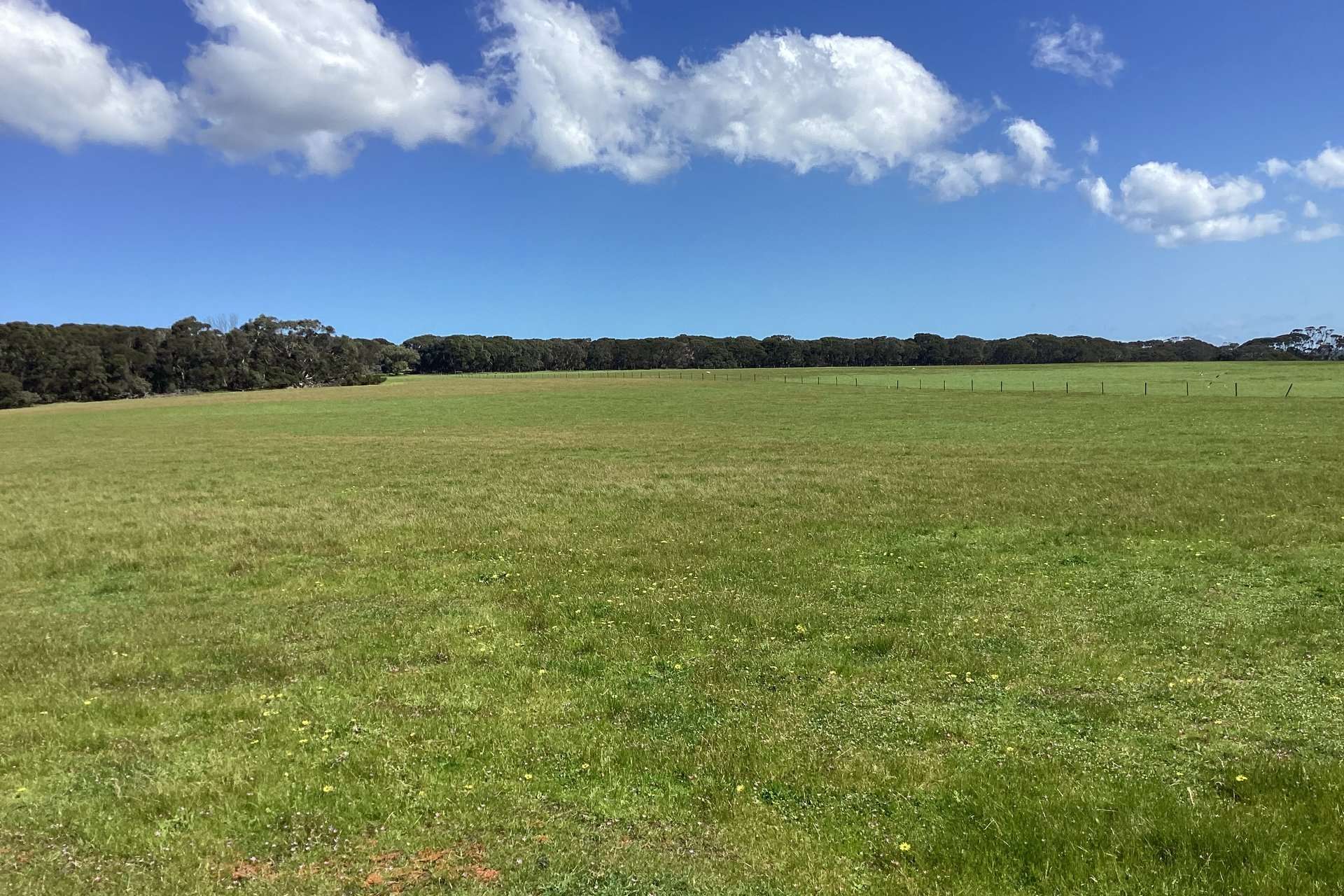 1730 Willson River Road, Porky Flat For Sale by Farmbuy.com - image 11