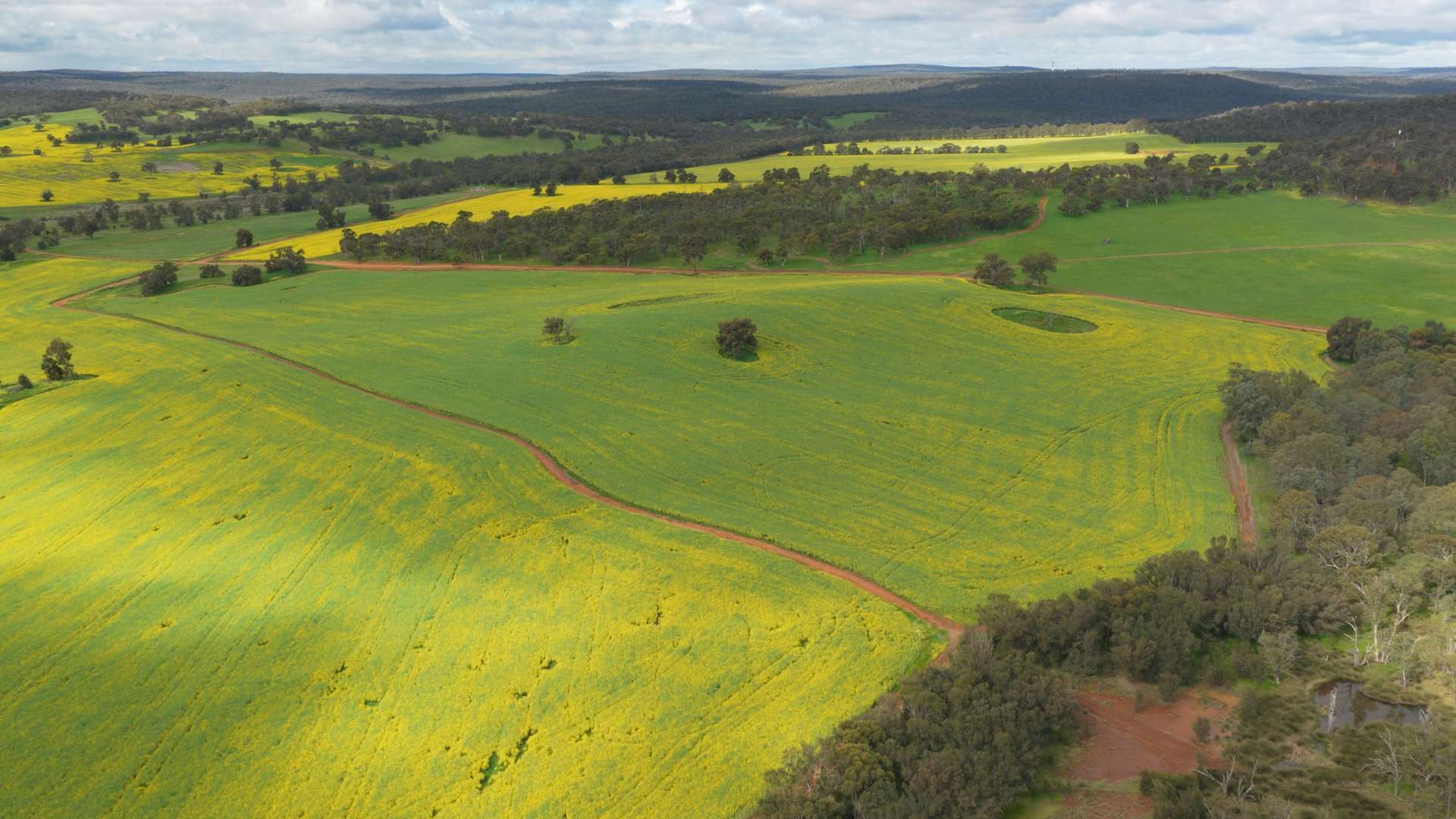 Former Bindoon Agricultural College, Bindoon For Sale by Farmbuy.com - image 4