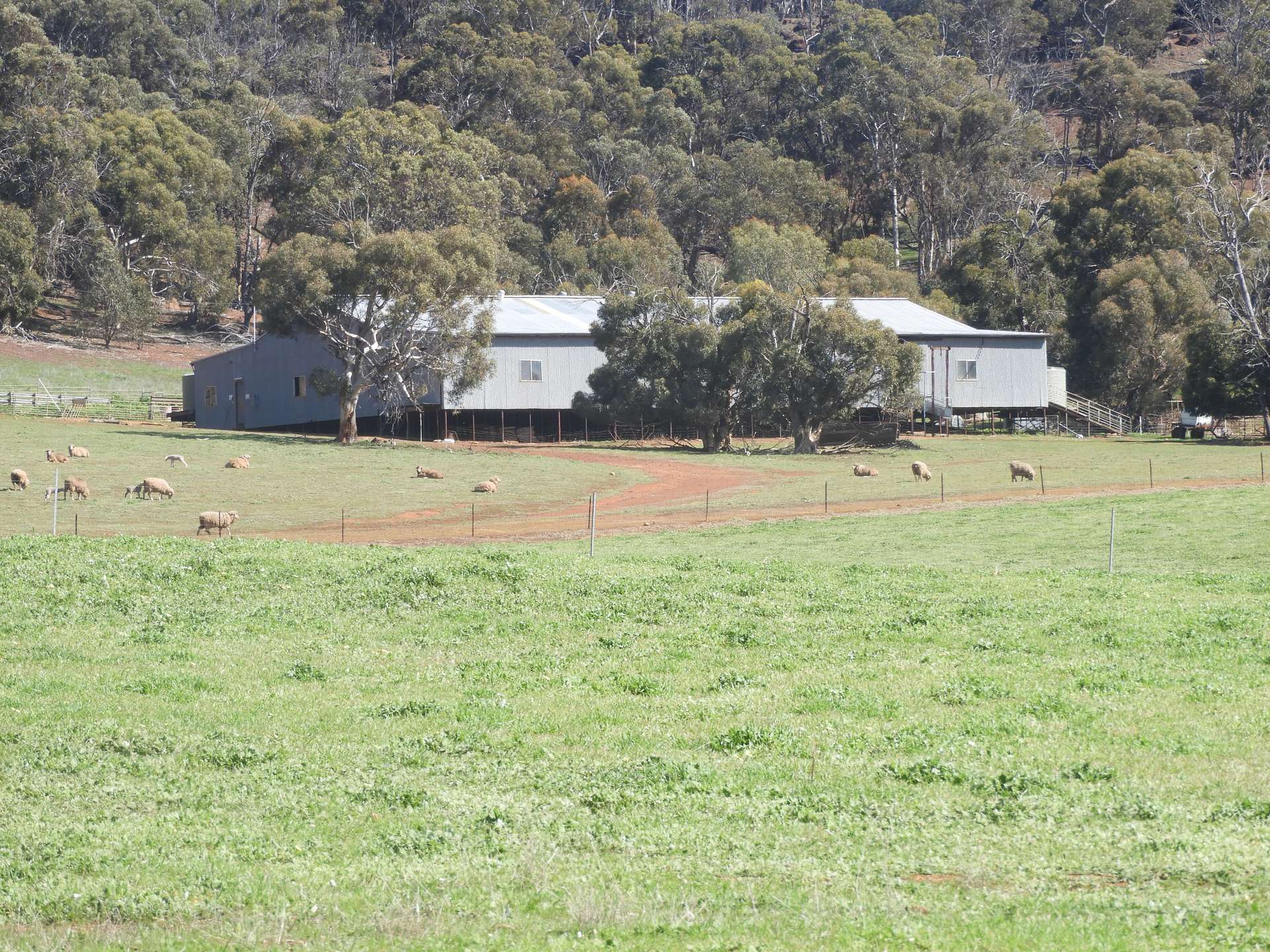 Former Bindoon Agricultural College, Bindoon For Sale by Farmbuy.com - image 32