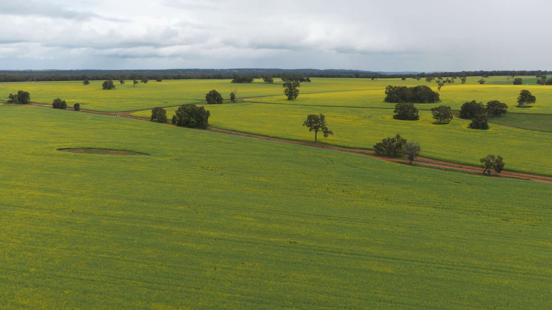 Former Bindoon Agricultural College, Bindoon For Sale by Farmbuy.com - image 9