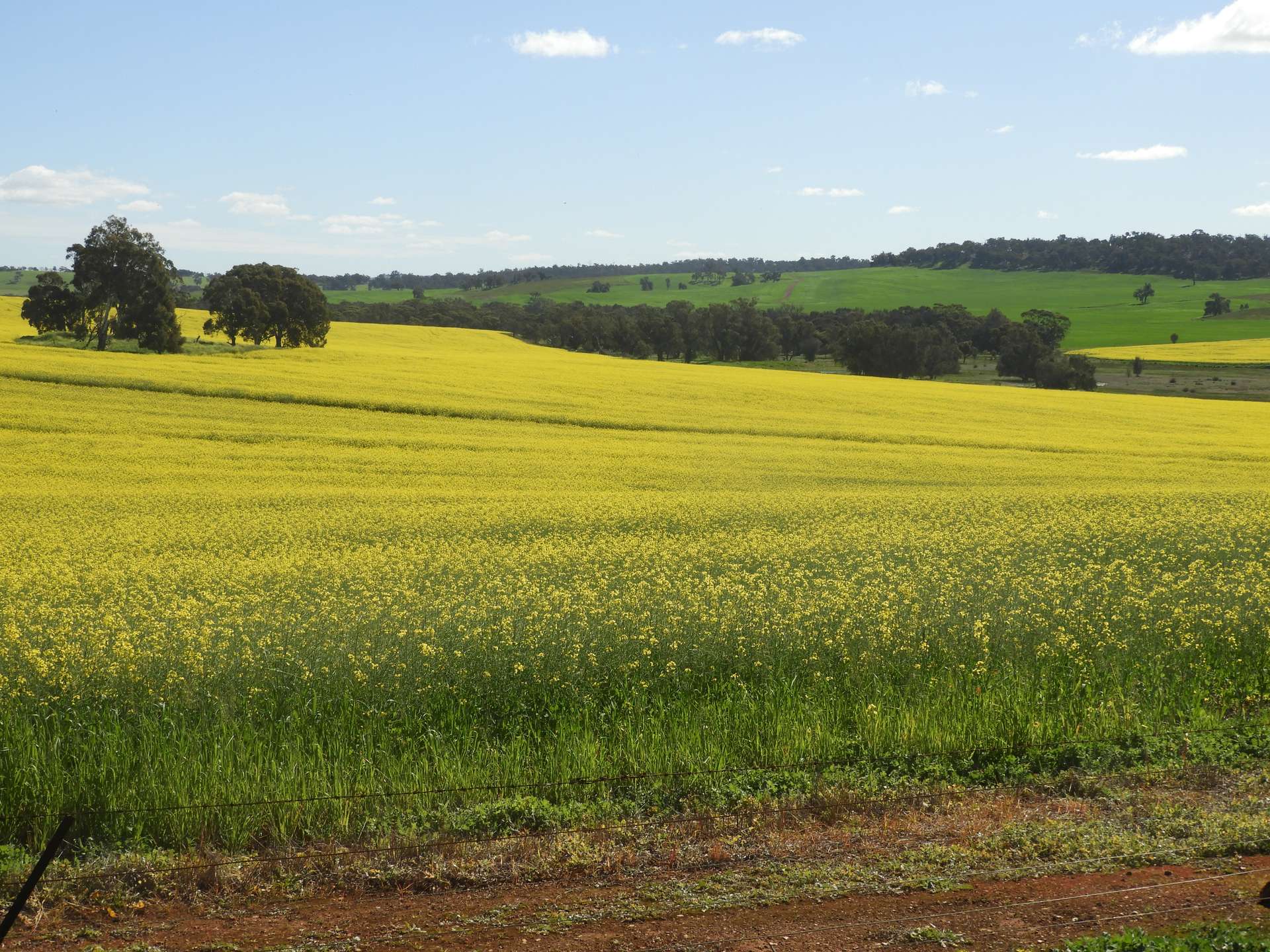 Former Bindoon Agricultural College, Bindoon For Sale by Farmbuy.com - image 33