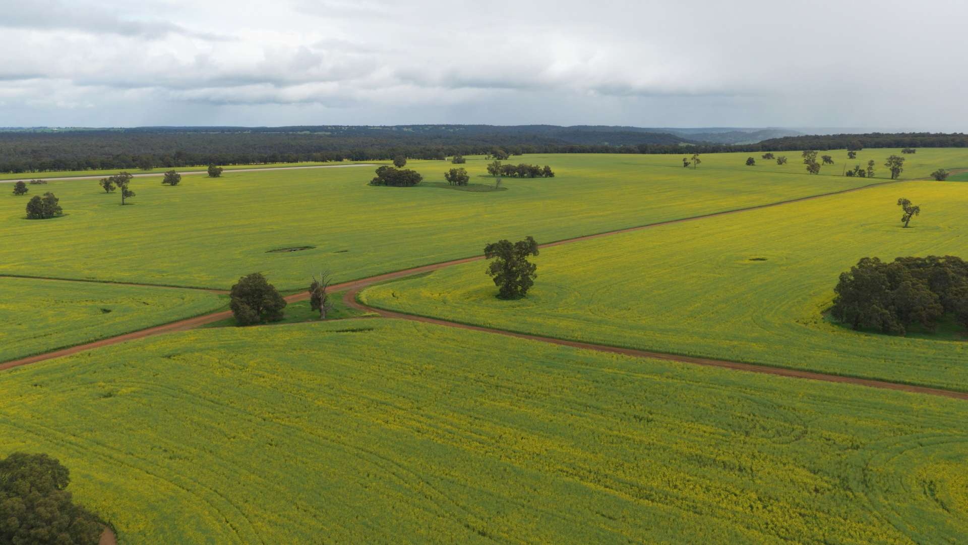 Former Bindoon Agricultural College, Bindoon For Sale by Farmbuy.com - image 17