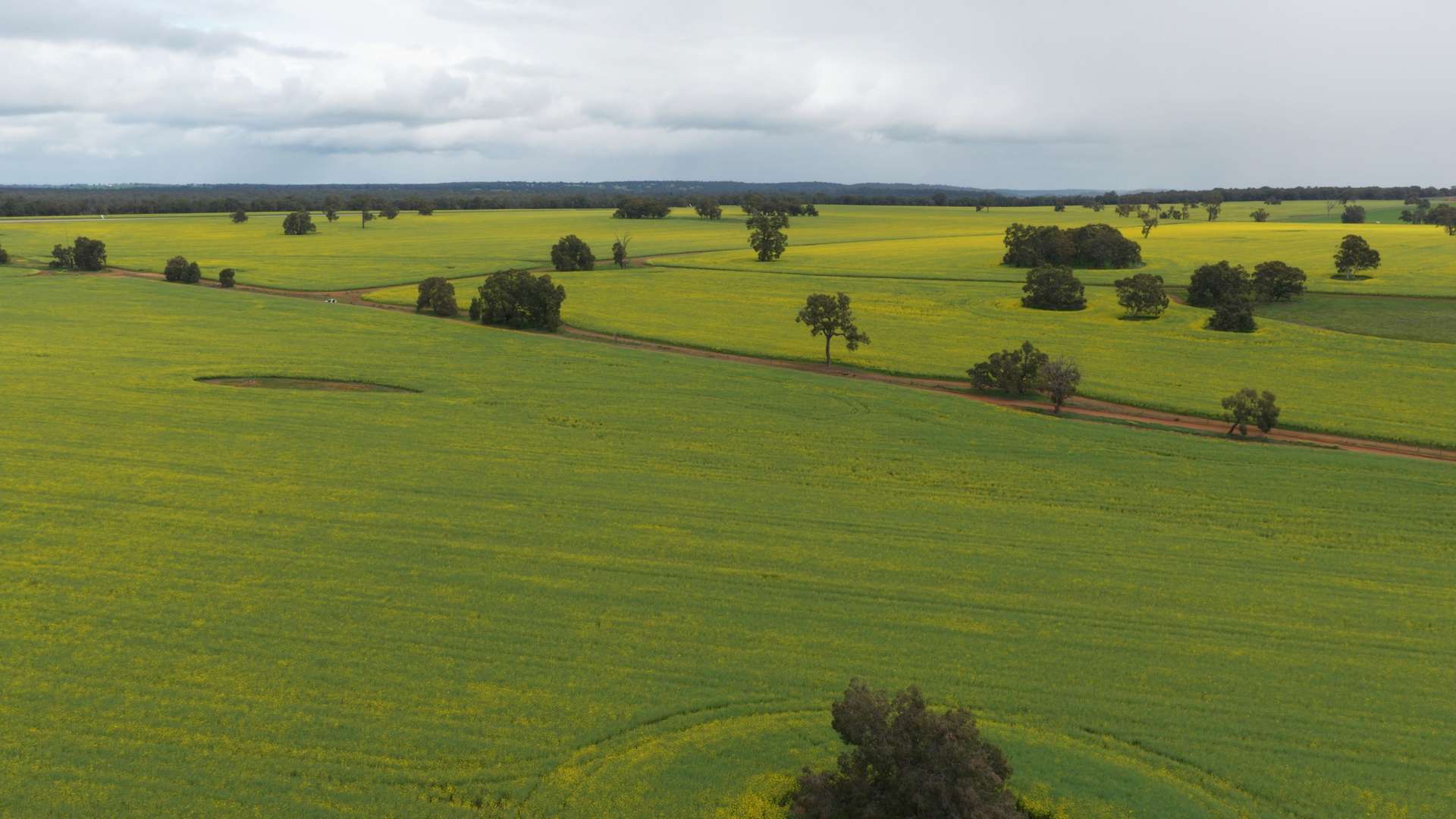 Former Bindoon Agricultural College, Bindoon For Sale by Farmbuy.com - image 13