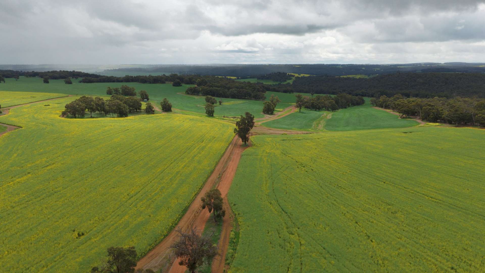 Former Bindoon Agricultural College, Bindoon For Sale by Farmbuy.com - image 14
