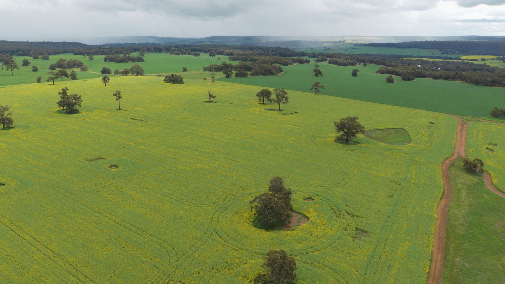 Former Bindoon Agricultural College, Bindoon For Sale by Farmbuy.com - image 15