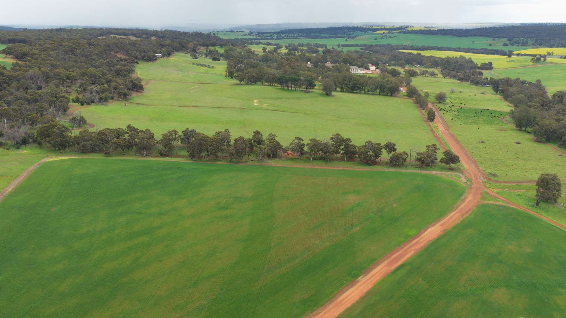 Former Bindoon Agricultural College, Bindoon For Sale by Farmbuy.com - image 12